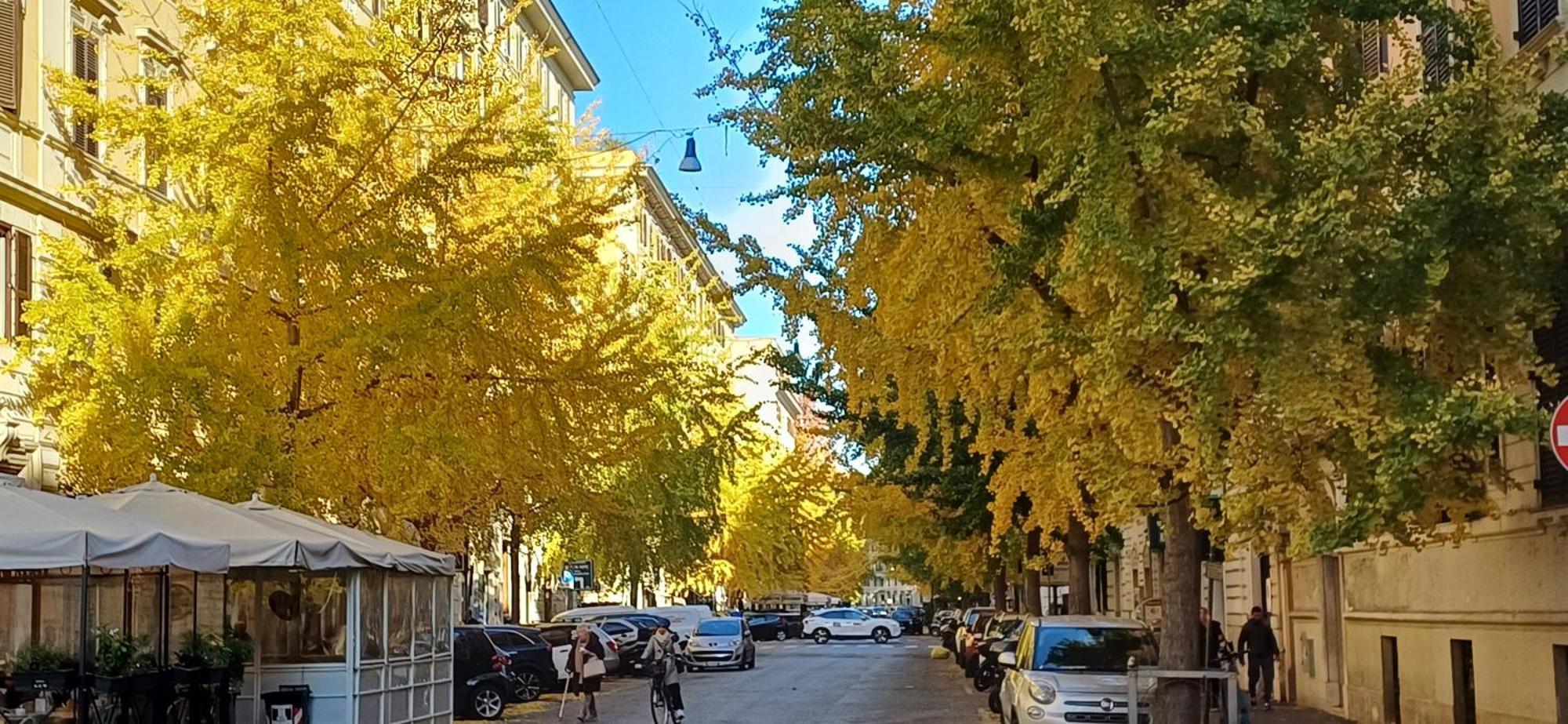 Apartmán La Casa Dei Papi 71 Řím Exteriér fotografie